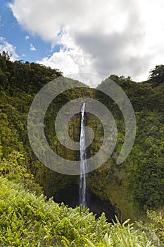 Akaka Falls State Park, Waterfall and Rainforest