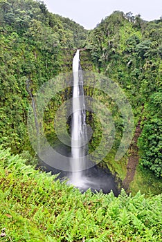 Akaka Falls waterfall in Hawaii