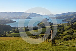 Akaroa Harbour at Dawn, New Zealand