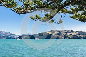 Akaroa which is located at the south island of New Zealand