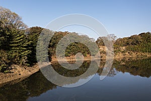 Ake with reflections from the shore and trees