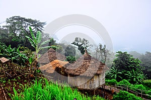 Akha homestays located on a hillside covered with fog at Doi Sa Ngo , Chiang Rai , Thailand