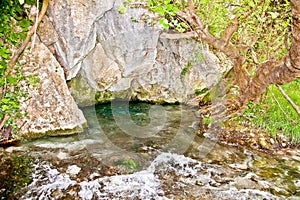 Akilles`s springs in Acheron river , Greece.