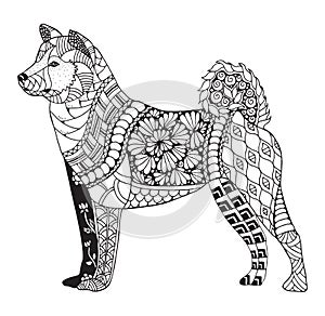 Akita dog zentangle stylized, vector, illustration, freehand pen