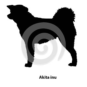 Akita inu black and white outline photo