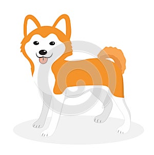 Akita Inu breed dog icon, flat, cartoon style. Cute puppy isolated on white background. Vector illustration, clip-art.