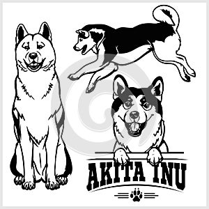 Akita Inu dog - vector set isolated illustration on white background