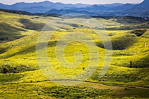 Akiyoshi Plateau Doline Landscape, Yamaguchi photo