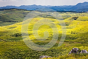 Akiyoshi Plateau Landscape with Sinkholes