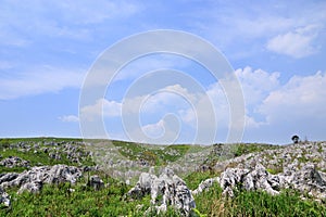 Akiyoshidai, the largest limestone plateau in Japan