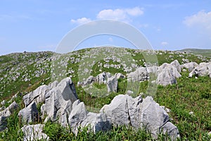 Akiyoshidai, the largest limestone plateau in Japan