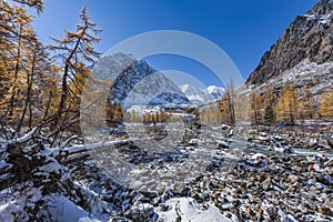 Aktru glacier, Altai Mountains, Russia.