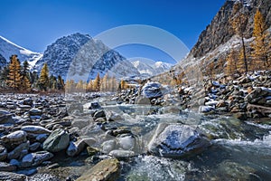 Aktru glacier, Altai Mountains, Russia.