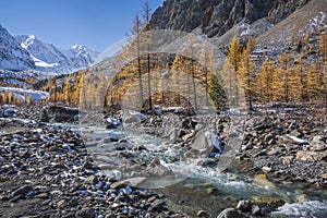 Aktru glacier, Altai Mountains, Russia.