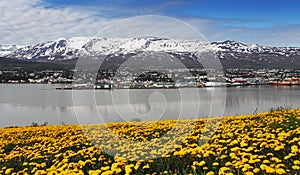 Akureyri city - Iceland