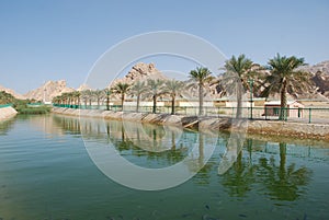 Al Ain City photo