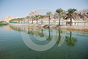 Al Ain City photo