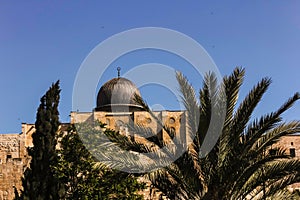 Al-Aqsa Mosque in Jerusalem Behind Palm Trees