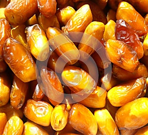 Al Assiane , one of the many kinds of dates found in the oasis of Figuig in Morocco