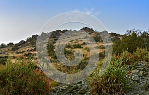 Al Baha Landscape photo