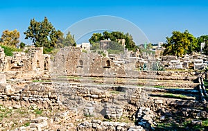 The Al-Bass Tyre necropolis in Lebanon