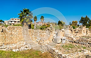 The Al-Bass Tyre necropolis in Lebanon