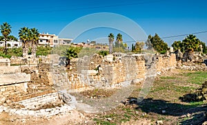 The Al-Bass Tyre necropolis in Lebanon