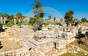 The Al-Bass Tyre necropolis in Lebanon