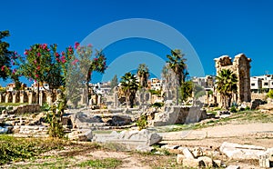 The Al-Bass Tyre necropolis in Lebanon