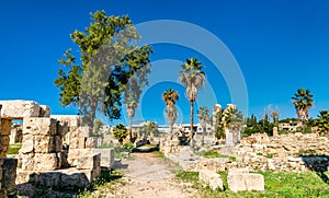 The Al-Bass Tyre necropolis in Lebanon