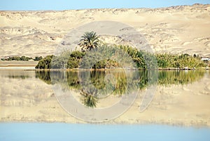Al Farafra oasis, Egypt