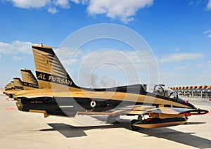 Al Fursan aerobatic team
