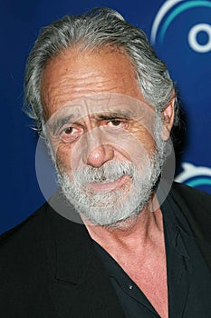 Al Gore, Tommy Chong