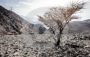 Al Hajar Mountains of Fujairah photo