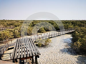 Al Jubail Mangrove forest in Abudhabi,UAE.