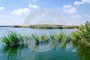 Al Karaana Lagoon for watching Migratory Birds in Qatar