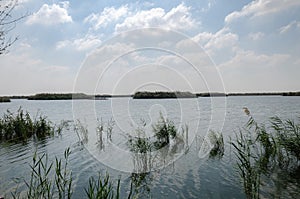 Al Karaana Lagoon for watching Migratory Birds in Qatar