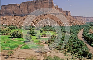 Al khureiba Village in Wadi Dawan