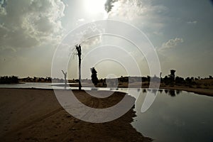 Al Qudra Lakes, Dubai photo