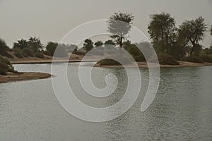 Al Qudra Lakes, Dubai photo