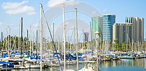 Ala Wai Harbor, Honolulu, Oahu, Hawaii photo