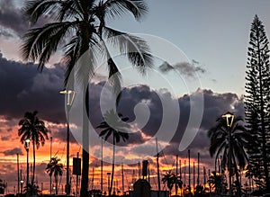 Ala Wai Harbor Sunset