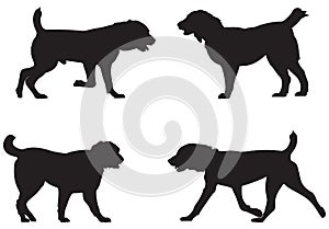 Alabai, Central Asian Shepherd Dog Breed Silhouettes photo