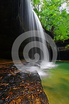 Alabama Forest Waterfall Landscape