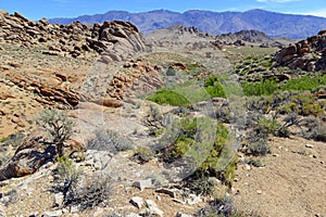 Alabama Hills, in the Easter Sierra