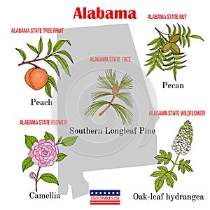 Alabama. Set of USA official state symbols