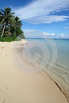 The alabaster beach in south pacific