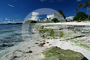 The alabaster beach in south pacific island