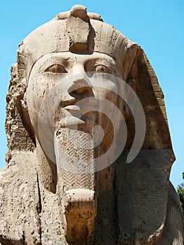 Alabaster Sphinx in Memphis