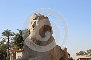 The Alabaster Sphinx at Memphis. Mit Rahina Open Air Museum. Memphis. Egypt.